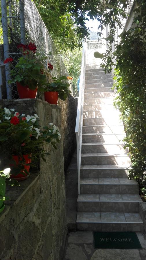 Apartments Penovic Kotor Exterior photo