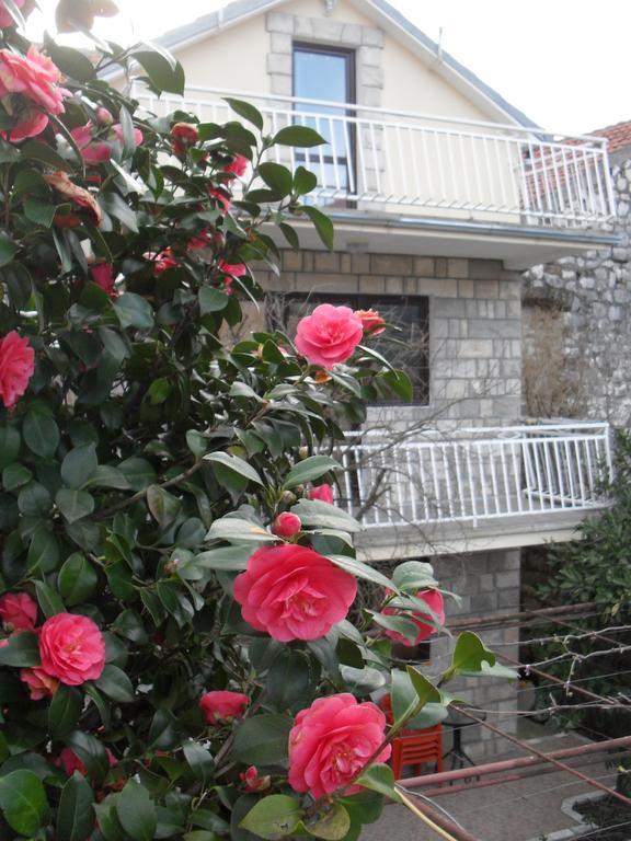 Apartments Penovic Kotor Exterior photo